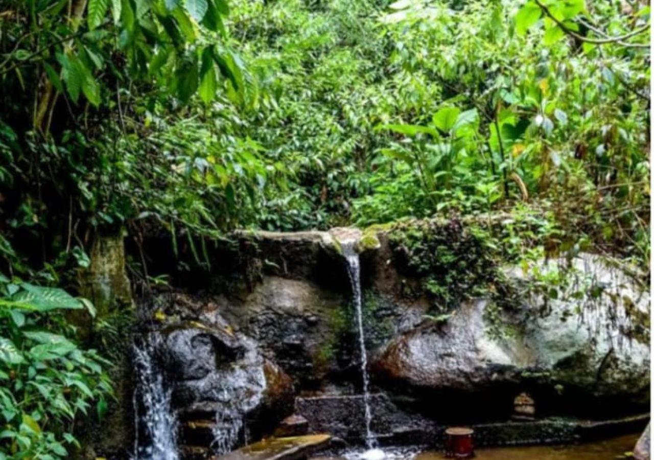 Mansao Eco Paradise, Experiencia Unica, Natureza! Rio de Janeiro