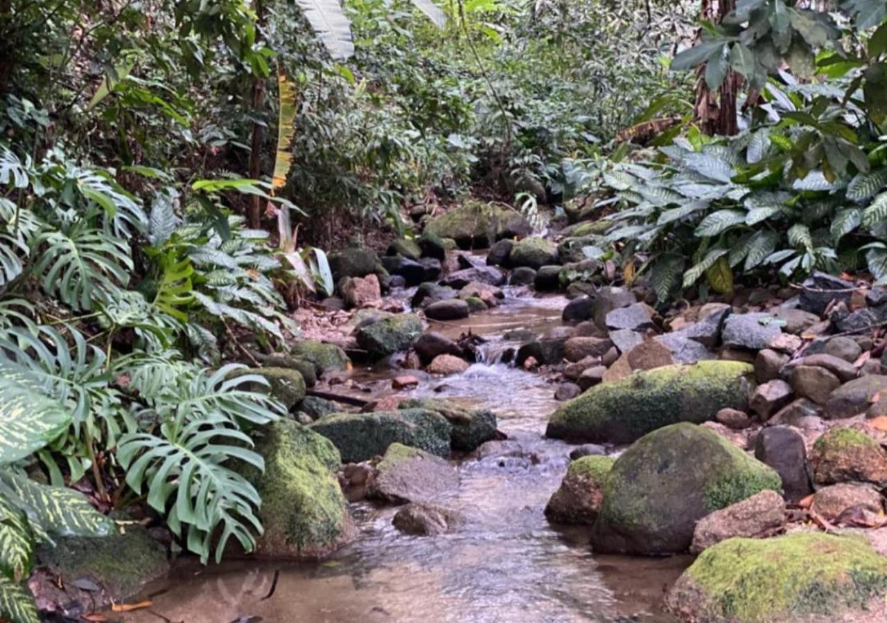 Casa de férias Mansao Eco Paradise, Experiencia Unica, Natureza! Rio de Janeiro