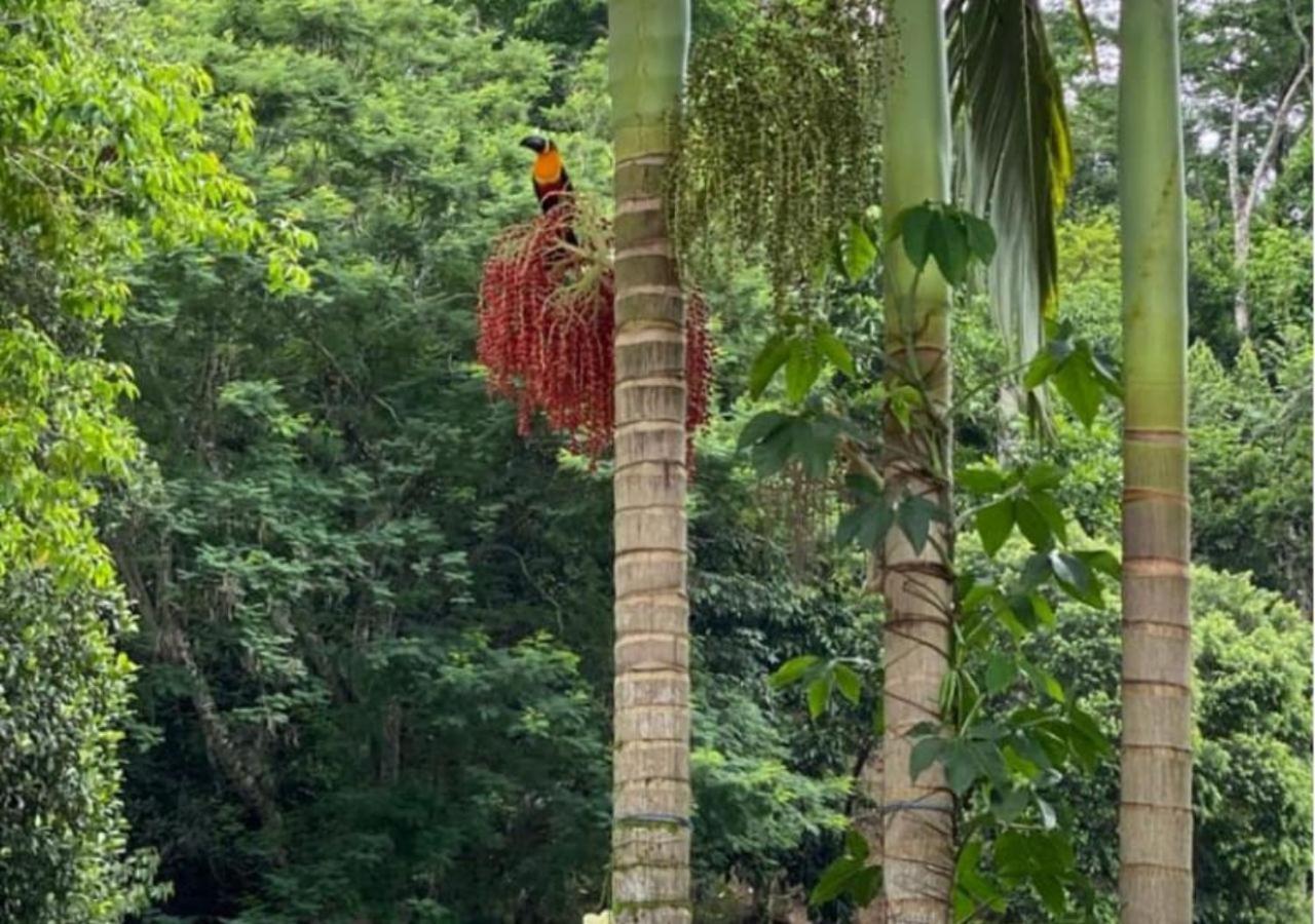 Mansao Eco Paradise, Experiencia Unica, Natureza! *