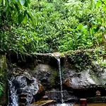 Mansao Eco Paradise, Experiencia Unica, Natureza!