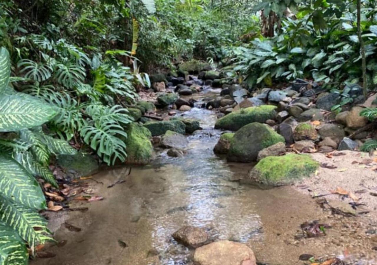 Mansao Eco Paradise, Experiencia Unica, Natureza!